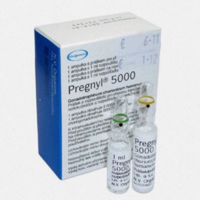 Pregnyl hCG